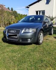 Audi A3 II (8P) 1.9 TDI 2004