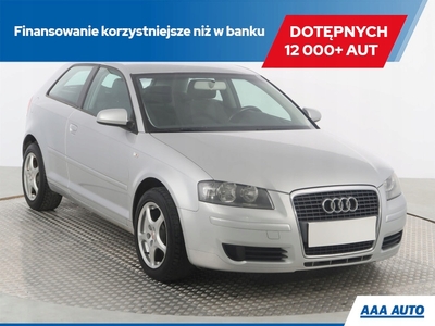 Audi A3 8P Hatchback 3d 1.6 102KM 2006