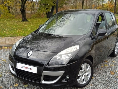 Renault Scenic III Van 1.5 dCi FAP 110KM 2011