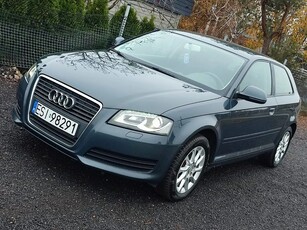 Audi A3 1.9 TDI Attraction