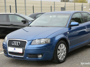 Audi A3 Klima,po opłatach 8P (2003-2012)