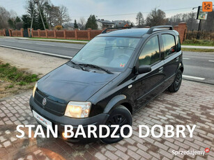 Fiat Panda Active / 1 Właściciel / Z Niemiec! II (2003-2012)