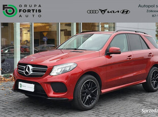 Mercedes GLE 350 W166 (2015-2019)