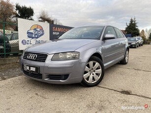 Na sprzedaż Audi A3 1.6 102 KM z 2003 roku.