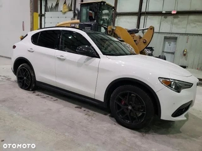 Alfa Romeo Stelvio 2.0 Turbo 16V AT8-Q4 Ti