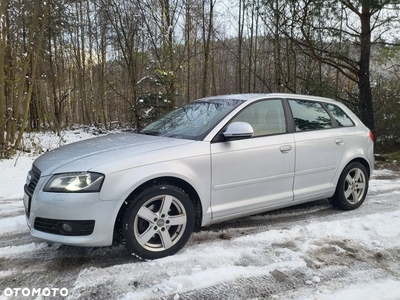 Audi A3 1.6 TDI DPF Ambiente