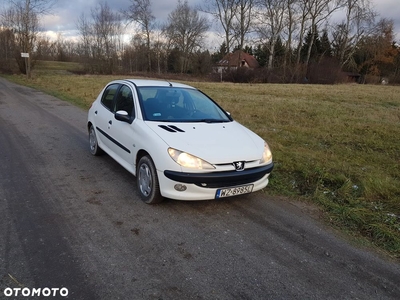 Peugeot 206 1.1 Husky