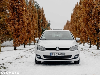 Volkswagen Golf Alltrack 1.6 TDI BMT 4Mot