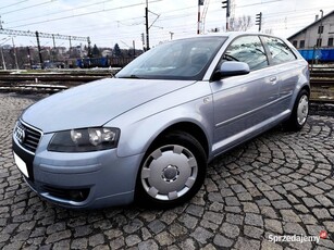 Audi A3 1.9 TDI 2003 Rok