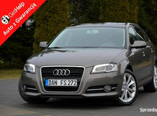 Audi A3 2.0TDI(140KM) Bi-xenon Ledy Panorama DSG Alu Aso audi 8P (2003-201…