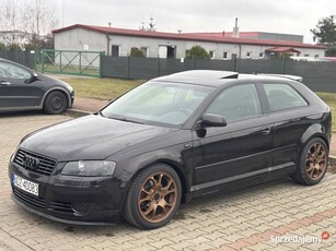 Audi A3 8P 2.0TDI BKD 220HP 480NM