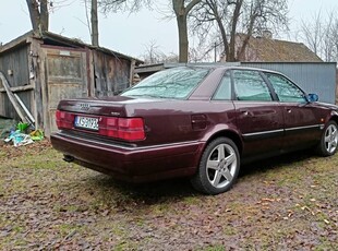 Audi V8 D11 quattro