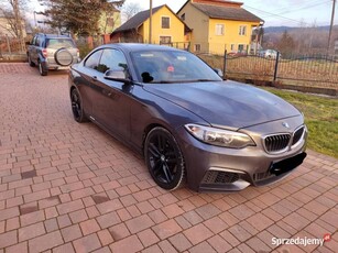 BMW f22 228i M-Sport MANUAL TYŁ NAPĘD Zamiana