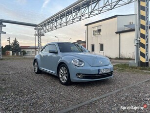 Volkswagen Beetle 2.0TDI