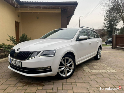 Škoda Octavia I Wł, Krajowy, Bezwypadkowy, Style, DSG, 2.0 …