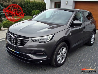 Opel 2020