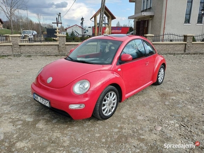 Volkswagen New Beetle 2.0 benzyna