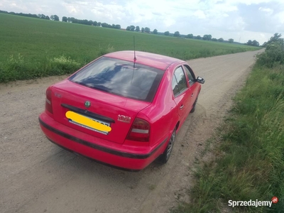 Ładna skoda octavia bez rdzy