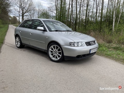 Audi A3 8L 2001 r. 1.9 TDI 130km Quattro