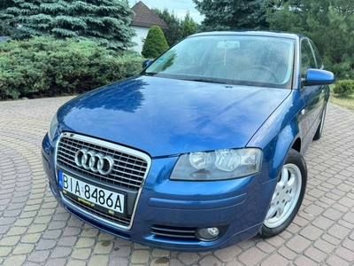 Audi A3 8P Hatchback 3d 1.6 102KM 2007