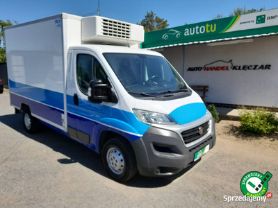 Fiat Ducato Mrożnia -32°C przygotowana do rejestracji