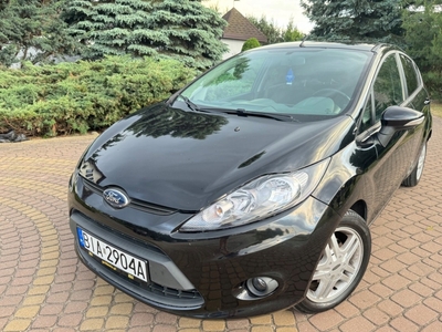 Ford Fiesta VII Van 1.6 Duratorq TDCi 90KM 2010