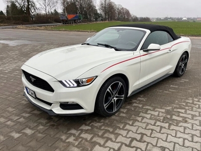 Ford Mustang VI Convertible 2.3 EcoBoost 317KM 2016