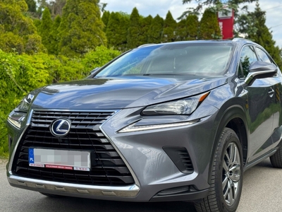 Lexus NX I 2018