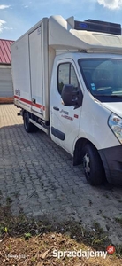 Renault master chłodnia winda