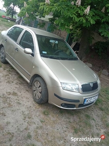 Skoda Fabia I