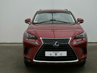 PO3KV63 #Lexus NX 300h Omotenashi AWD, Vat 23%, P.salon, Nawigacja,Kam