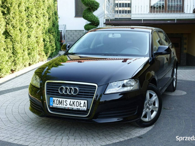 Audi A3 Super Stan - Serwis - 1.6 8V - GWARANCJA - Zakup Door To Door 8P (…