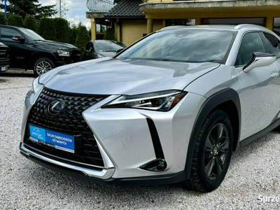 Lexus UX 250h,Hybryda,Jak nowy,Gwarancja