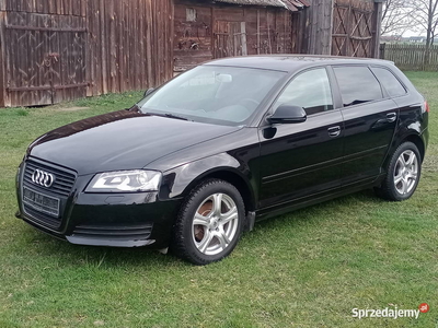 Audi A3 1.6 TDI 105KM Lift Bixenon LED po opłatach