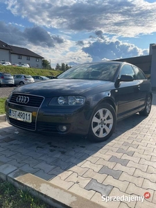 Audi A3 8P 1,9 TDI BKC / 2004 rok