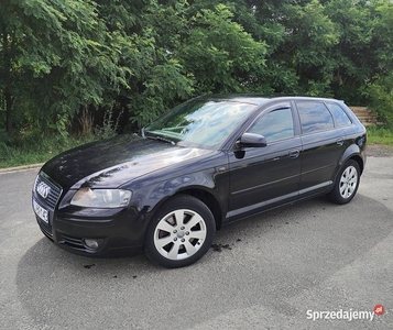 Audi a3 8p 2.0 tdi 170km doinwestowane 4tys.