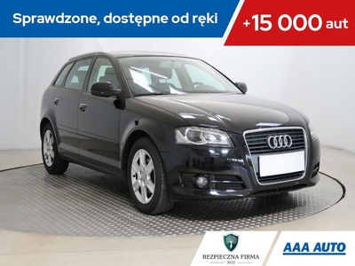 Audi A3 8P Hatchback 3d 1.6 102KM 2010