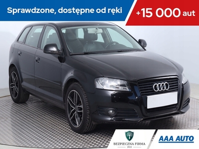 Audi A3 8P Hatchback 3d 1.9 TDI 105KM 2009