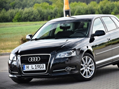 Audi A3 8P Hatchback 3d 2.0 TDI CR 140KM 2011