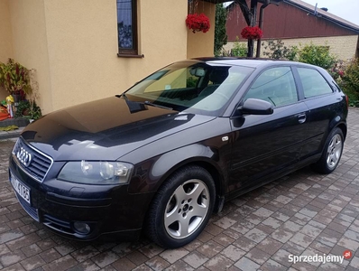 Audi A3 8P,2.0 tdi 140 koni,6 skrzynia,klima sprawna