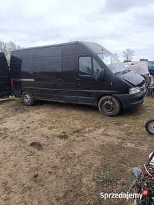 fiat ducato 2.8 tdi 2006rok.