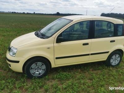 Fiat Panda benzyna 2006