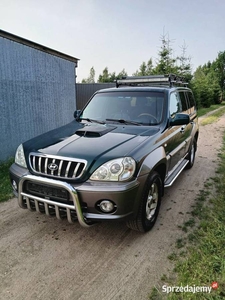 Hyundai Terrecan