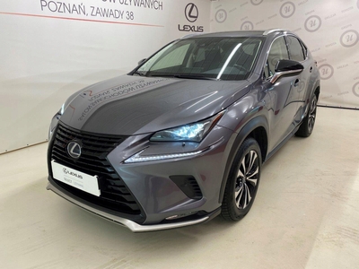 Lexus NX I SUV Facelifting 300h 197KM 2021