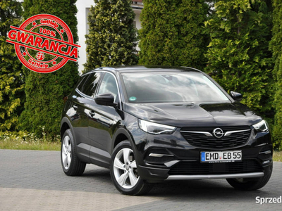 Opel Grandland X 1.6CDTi(120KM)*119tyś.km*Full Led*Navi*Skóry*Asystent Pas…