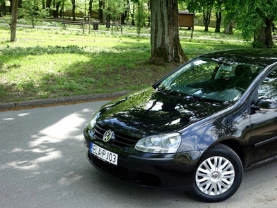 Volkswagen Golf V Hatchback 1.9 TDI 105KM 2003