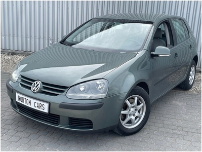 Volkswagen Golf V Hatchback 1.9 TDI 105KM 2004