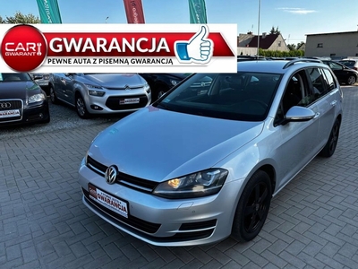 Volkswagen Golf VII Variant 1.6 TDI CR DPF BlueMotion Technology 105KM 2013