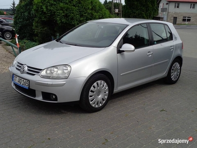 VW Golf V 1.6 klimatronic sprowadzony