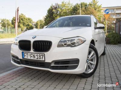 BMW 520 2.0_Diesel_190KM_236 tyś. km_FV23% F10 (2009-2017)